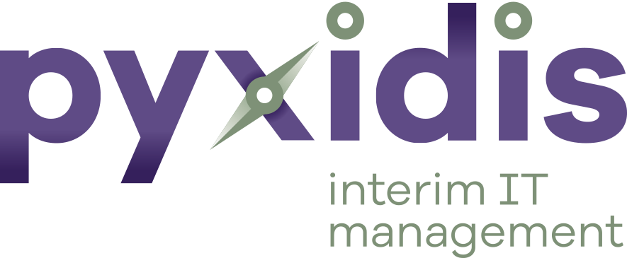 Pyxidis Interim IT Management