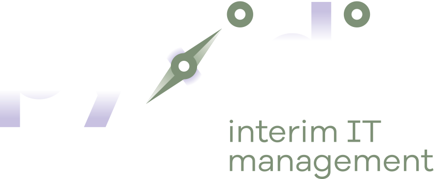 Pyxidis Interim IT Management